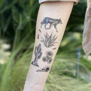 NatureTats Desert Wild tattoo captures the allure of the American Southwest with a wolf, agave, cactus, and bird skull.