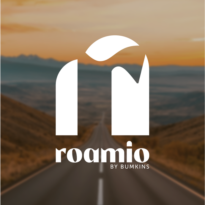 Roamio by Bumkins logo on a desert highway background.