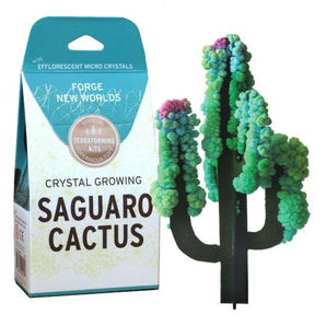 Copernicus Toys Crystal Growing Saguaro Cactus kit features a cactus figure with vibrant, fast-growing crystals.