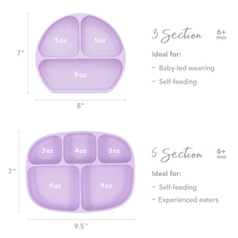 Bumkins Lavender Silicone Grip Dish pairs with a 5-section base perfect for self-feeding; includes three labeled sections and suction.