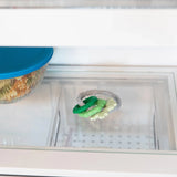 Bumkins Silicone Teething Charms: Green sits in the fridge, sharing space with a food container.